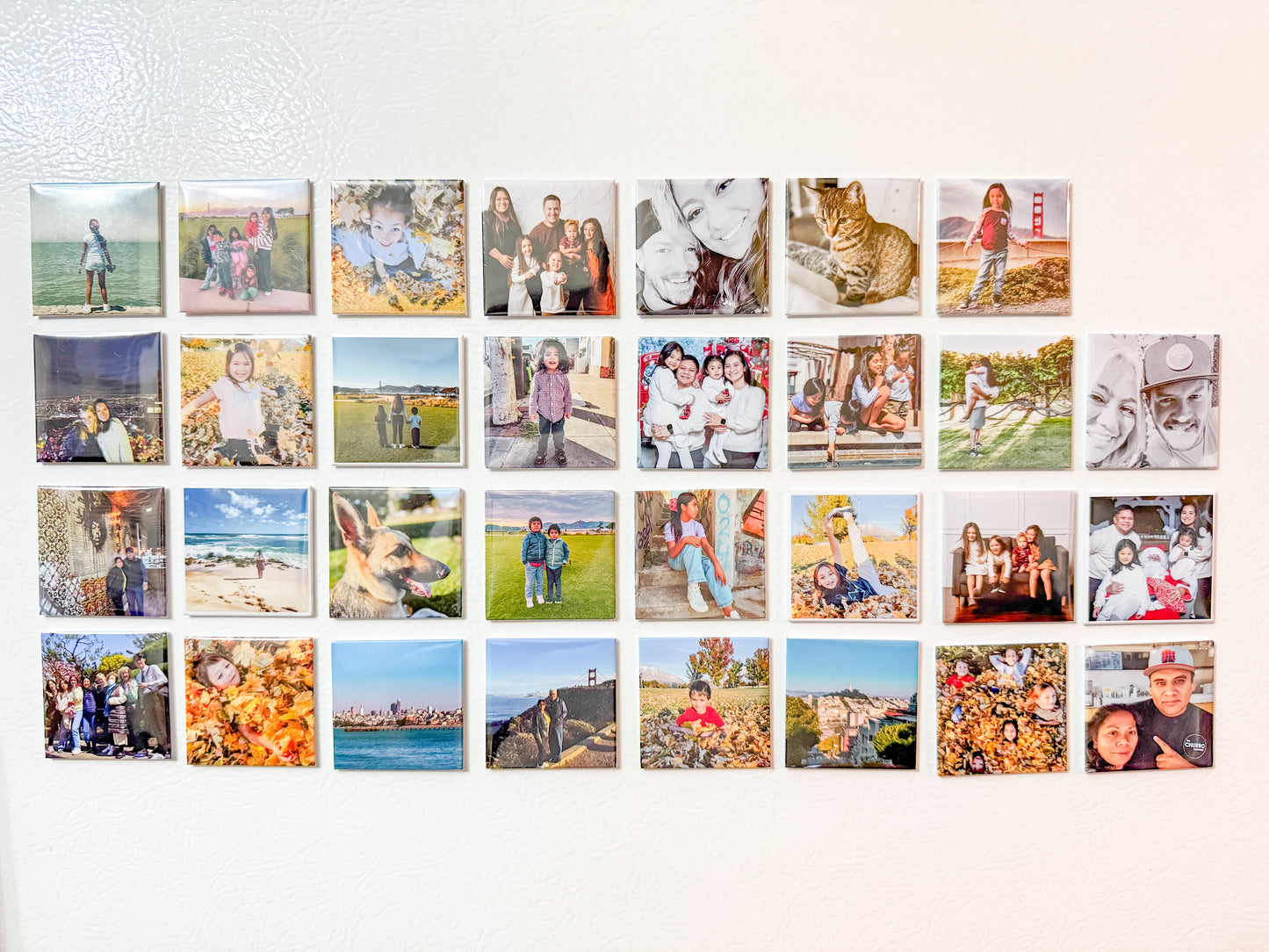 10 Piece Picture Magnet set