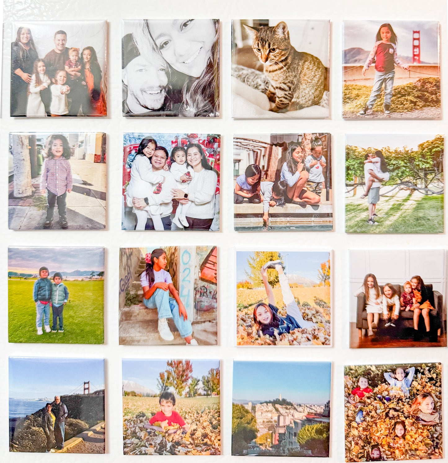 10 Piece Picture Magnet set